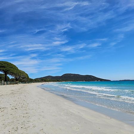 Residence Les Hameaux De Bocca Del Oro Porto-Vecchio  Buitenkant foto